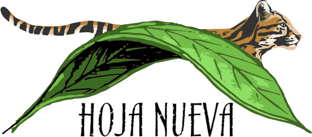 Pictured: Hoja Nueva's official logo 
